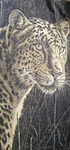 Biederlack Reversible Blanket Throw Cheetah Leopard By James Hautman 77" X 52". Fixed Price $49.99.