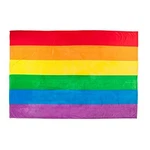 Sleeping Partners Oversize Blanket - Rainbow Pride Flag Print 60" X 80" M.... Fixed Price $27.31.