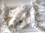 Adrienne Landau Faux Fur Throw Snow Leopard Lynx Pattern 50X70 Multi Color. Fixed Price $99.99.
