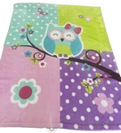 Vianney Owl Fleece Blanket Plush Purple Green Aqua Pink Floral Dot Girls. Fixed Price $20.60.
