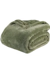 Berkshire 60X70 Velvetsoft Throw Sage. Fixed Price $29.99.