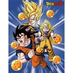 Great Eastern Entertainment Dragon Ball Z- Goku 3 Form Sublimation Throw Blank. Fixed Price $43.28.