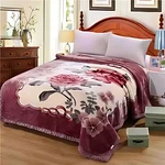 2-PLY Thick Heavy Fleece Blanket 4.4/6.6/7.7LB Printed Silky Soft Warm. Fixed Price $35.14.