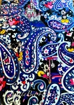 Nwt Vera Bradley Disney Parks Mickey Mouse Whimsical Paisley Throw Blanket 72X50. Fixed Price $44.99.