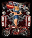 Jq Garage Girl Queen Size Heavy Weight Luxury 1 Ply Blanket 79"X94". Fixed Price $53.88.