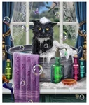 New Lisa Parker Bath Time Black Cat Plush Fleece Throw Gift Blanket Pet Wash Tub. Fixed Price $18.55.
