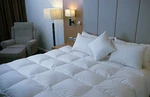 Dyne Single 50% Polish Goose Down Squared Quilt - 7 Blanket Made Aust. Fixed Price $233.51.
