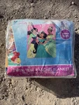 Disney's Princess Tiana Jasmine Mulan Plush Raschel Blanket 60X80. Fixed Price $150.00.