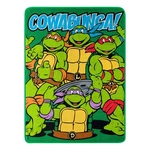 Northwest Teenage Mutant Ninja Turtles Micro Raschel Throw Blanket, 46 X 60, .... Fixed Price $33.78.