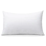 Otostar Throw Pillow Insert, 12 X 20 Cushion Inner Soft Fluffy Plump Stuffer .... Fixed Price $12.76.
