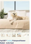 Paw Brand Pupchill Cooling Runner Throw For Dogs Beige Queen Size TAD2006 Arctic. Fixed Price $89.00.