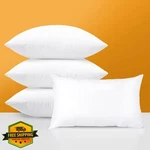Otostar 16X24 Inch Outdoor Pillow Inserts Waterproof Pack. Fixed Price $54.99.