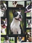 Cute Boston Terrier Dog Black Lovely Printed Ultra-soft Throw Blanket Home. Fixed Price $14.81.