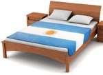Fuzzy Flags Argentina Fleece Blanket 80" X 50" Oversized Argentinian Throw. Fixed Price $19.99.