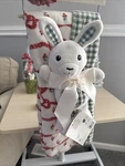 Laura Ashley Baby Blanket Set Teddy Bear Plush, Gingham Plaid Floral. Fixed Price $25.00.