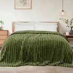 Exclusivo Mezcla Queen Size Flannel Fleece Blanket, Super Soft Striped Jacqua.... Fixed Price $42.35.