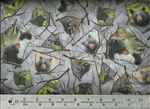 Quilting Treasures Natures Bears 26823-K Patch 100% Cotton Fabric Bty. Fixed Price $16.99.