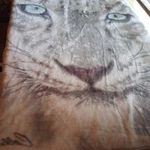 The Northwest Blue Ice Cat Throw Blanket Collin Bogle 44" X 58" 2014 Soft. Fixed Price $20.00.