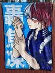 My Hero Academia Shoto Todoroki 45 X 60 Inch Fleece Throw Blanket. Fixed Price $15.00.