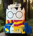 Harry Potter Pillow Oversized Throw 2 Piece Set New. Fixed Price $35.00.