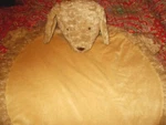 Pottery Barn Kids Labradoodle Puppy Plush Play Mat New, So Cute. Fixed Price $52.49.