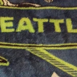 The Northwest Company Seattle Seahawks Throw Blanket Blue Green Sports Team Logo. Fixed Price $23.00.