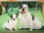 New Soft Cute French Bulldog Fleece Throw Gift Blanket Breed Puppy Sitting. Fixed Price $8.10.