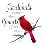 New Cardinals Appear Angels Plush Gift Throw Blanket Red Birds Nip. Fixed Price $30.64.