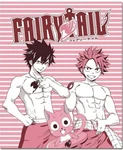 Fairy Tail Group Anime Characters 57517 Plush Throw Blanket 50" X 60". Fixed Price $17.00.