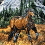 Horse Rocky Mountain Freedom Heartland Premier Soft Plush Throw Blanket 50X60. Fixed Price $15.00.
