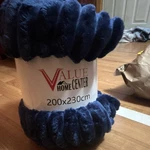 Value Home Center Velvet Plush Throw Blanket Blue Solid Color 200X230 Cm. Fixed Price $12.00.
