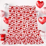 Valentine's Day Throw Blanket Red Pink Heart Plaid Fuzzy Romantic Love... Fixed Price $23.99.