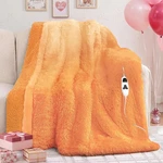 Rujipo Heated Electric Blanket Throw Faux Fur With Soft 50X60, Cocoa Brown. Fixed Price $45.51.