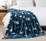 Berkshire Blanket & Mo Willems Throw. Fixed Price $20.00.