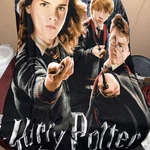 Harry Potter Thermal Fleece Throw Blanket. Fixed Price $21.00.