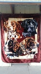 Dogs Hunting Breeds Queen Size Blanket. Fixed Price $62.76.