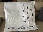 Mink Dot Sparrow Nest Baby Blanket White Gray Reversible. Fixed Price $25.00.