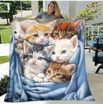 Cute Kitten Throw Blanket - Lightweight All Season Size Choice 27X40 Or 39X59. Fixed Price $20.62.