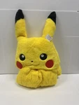 Pokemon Pikachu 30 X 50 Inch Hooded Throw. Fixed Price $39.99.