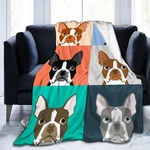 Fun Boston Terrier Blanket 60"X50" Medium For Teens, Dog. Fixed Price $39.51.
