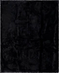 Luxurious Faux Mink Black Onyx Throw Blanket 50X60 For Cozy Decor. Fixed Price $186.99.