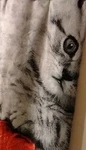 50" X 60 Adorable Kitten, Photo Real Velvet Plush Throw With Sherpa Reverse. Fixed Price $18.00.