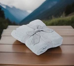 Barefoot Dreams Cozychic Lite Ribbed Baby Blanket Blue. Fixed Price $59.00.