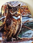 Northwest Owl Blanket James Meger Throw Wall Hanging Plush Soft Euc Cabin Blue. Fixed Price $39.83.