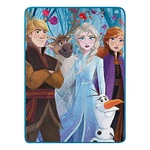 Northwest Disney Frozen 2 Fall Foliage Micro Raschel Throw Blanket. Fixed Price $24.99.