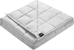 Zonli Weighted Blanket 60X80 15LBS Queen Size Light Grey Cooling. Fixed Price $55.89.