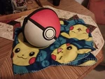 Pokemon Pokeball Zippered 7.5" Travel Case & Pikachu 40" X 50" Throw (blanket). Fixed Price $24.98.