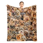 50X60 Inch Yorkshire Terrier Dog Throw Blanket Soft Flannel Bed Sofa Decor. Fixed Price $39.66.