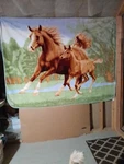 Reversable Horse And Colt Throw 60"LENGTH X 80 Width. Shavel Home Products. Fixed Price $30.00.