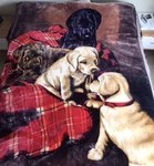 Biederlack Dogs Fleece Blanket Throw 82 X60 Labrador Retreiver Golden Exc. Fixed Price $35.00.